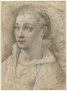 Portret van onbekende vrouw door Federico Zuccaro