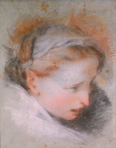 Hoofd van een Vrouw, 1568-1569