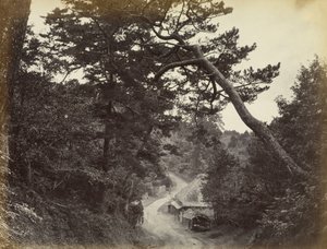 Uitzicht op de Tokaido Road