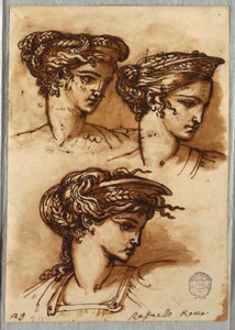 Drie studies van een hoofd met diadeem en gevlochten haar, naar Raphael