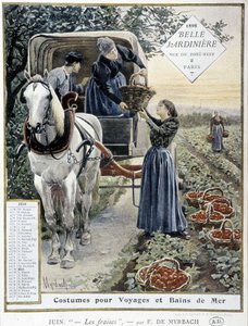 Aardbeien plukken - door Myrbach, Kalender 