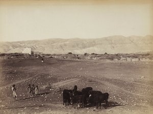 Een rotsachtig gebied met kinderen en grazende dieren, in Egypte door Félix Bonfils