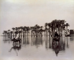 Mannen op kamelen die een door de Nijl overstroomd Egyptisch woestijngebied doorkruisen