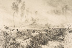 Brumes du matin, 1882 door Felix Bracquemond