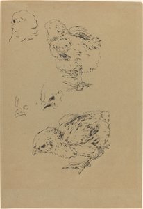 Kuikens