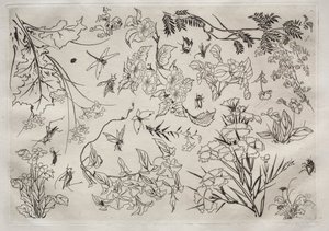 Dinerservies (Rousseau servies): Bloemen (nr. 22) door Felix Bracquemond