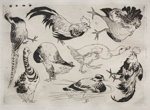 Dinerservies (Rousseau servies): Hanen, eenden, enz. (nr. 13) door Felix Bracquemond