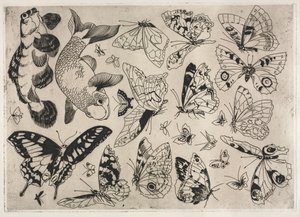 Dinerservies Rousseau servies: Vlinders en Vissen nr. 16, 1866