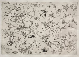 Dinerservies Rousseau servies: Bloemen en Insecten nr. 15, 1866 door Felix Bracquemond
