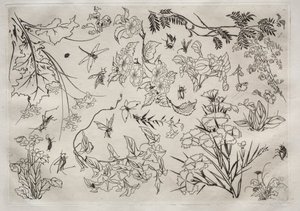 Dinerservies Rousseau servies: Bloemen nr. 22, 1866 door Felix Bracquemond