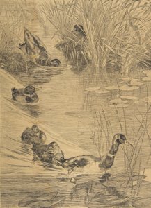 Eenden Spelen door Felix Bracquemond