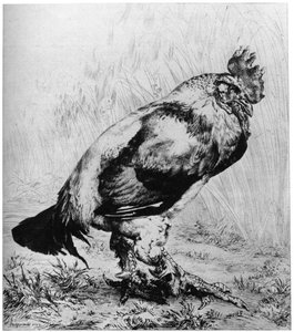 La Coq, ca. 1850-1910, 1924