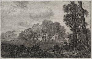Landschap, naar Français