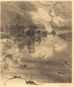 De Zwaluwen door Felix Bracquemond