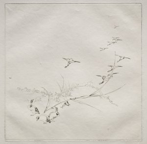 Parijse dienst (Haviland dienst): Recht in de zon (nr. 9)