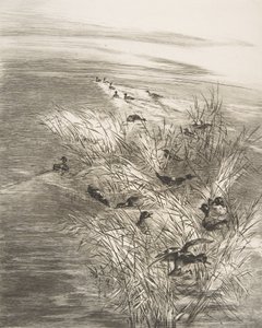 Riet en eenden, 1882