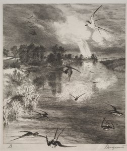 Zwaluwen door Felix Bracquemond