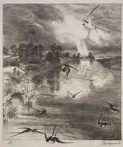 Zwaluwen, 1882 door Felix Bracquemond