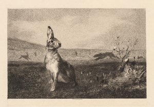 De haas door Felix Bracquemond