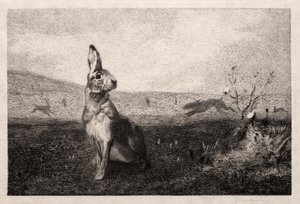 De Haas (naar A. de Balleroy)