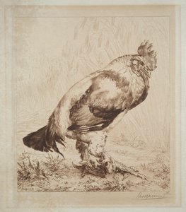 De Oude Haan