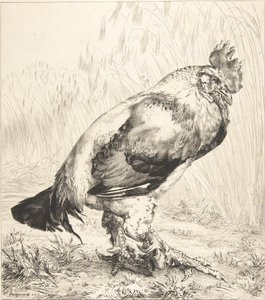 De oude haan, 1882