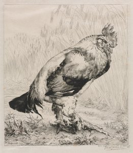 De Oude Haan, 1882