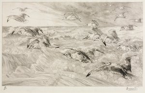 De Meeuwen, c. 1880