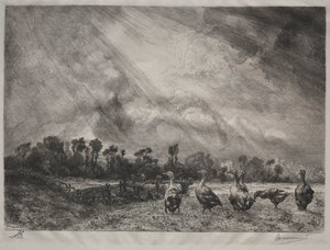 De Stormwolk