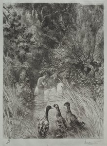 De Verraste Eenden door Felix Bracquemond
