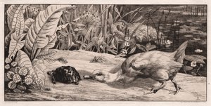 Het Onbekende door Felix Bracquemond