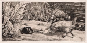De Onbekende, 1862 door Felix Bracquemond