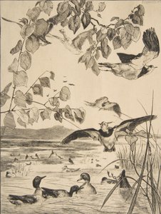 Kieviten en wintertalingen door Felix Bracquemond