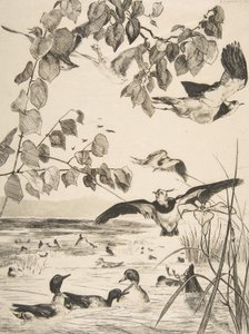 Kieviten en wintertalingen, 1862 door Felix Bracquemond