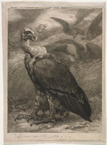 Gier door Felix Bracquemond