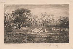 Ganzen door Felix Hilaire Buhot