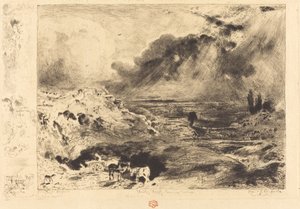 De storm