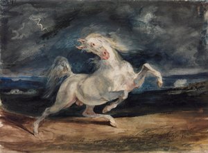 Paard geschrokken door bliksem