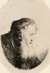 Oude man met golvende baard door Ferdinand Bol