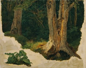 Boomstudie door Ferdinand Georg Waldmuller