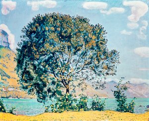 Onbekend Beeld door Ferdinand Hodler