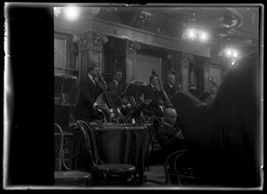 Contrabassist van een Weens lid van een filharmonisch orkest