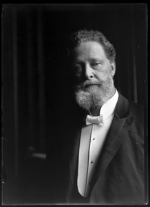 Afbeelding van Charles Lueger (1897-1910)