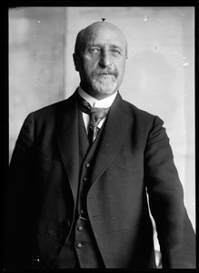 Afbeelding van Karl Seitz (1869-1950)