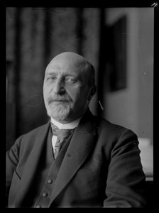 Afbeelding van Karl Seitz (1869-1950)