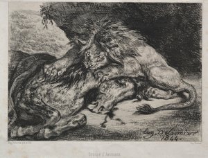 Leeuw die een paard verslindt