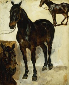 Drie studies van paarden, c.1823