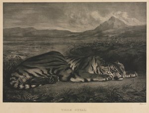Tigre Royal door Ferdinand Victor Eugene Delacroix