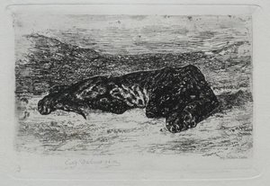 Tijger liggend in de woestijn door Ferdinand Victor Eugene Delacroix