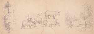 Diverse schetsen van koeien en stieren door Ferdinand von Wright